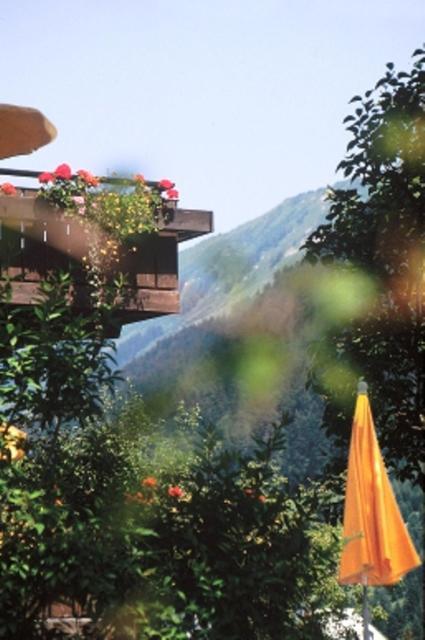 Hotel Adler Garni Hirschegg  Extérieur photo